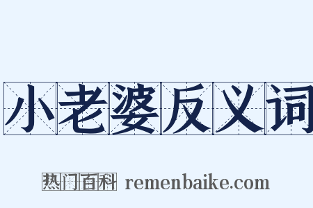 小老婆反义词是什么意思的图片